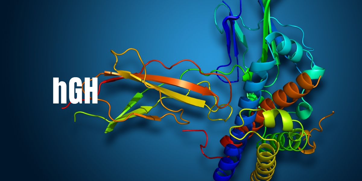 hGH – Hormonul de creștere